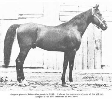 Ethan Allen