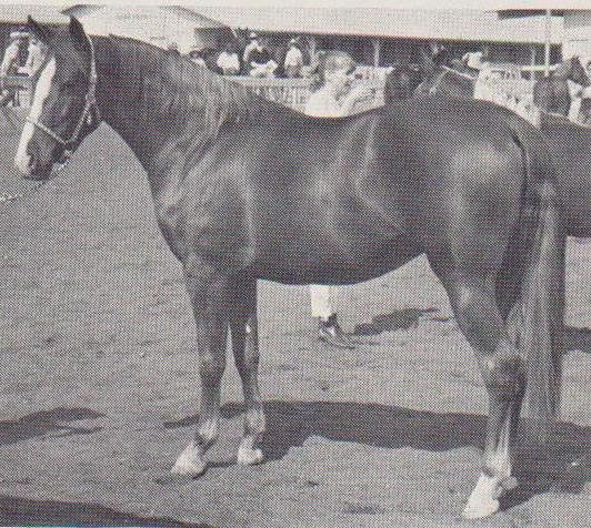 Richwood Mira