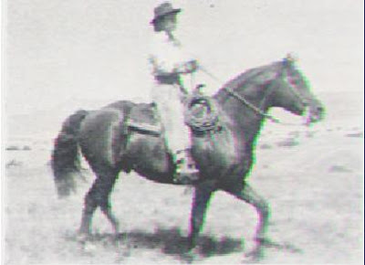 Sonfield